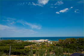 Вид из окна